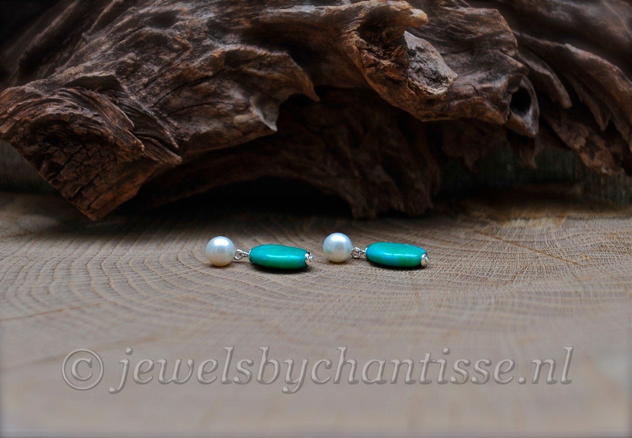 Pareloorstekers met Chrysocolla 3 Pareloorstekers met Chrysocolla