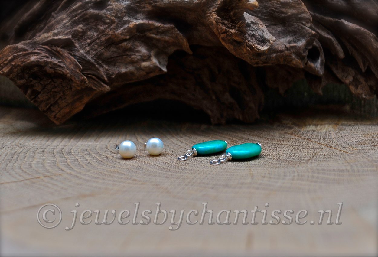 Pareloorstekers met Chrysocolla 4 Pareloorstekers met Chrysocolla