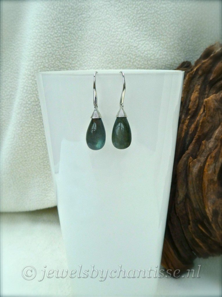 Zilveren Labradoriet Oorbellen