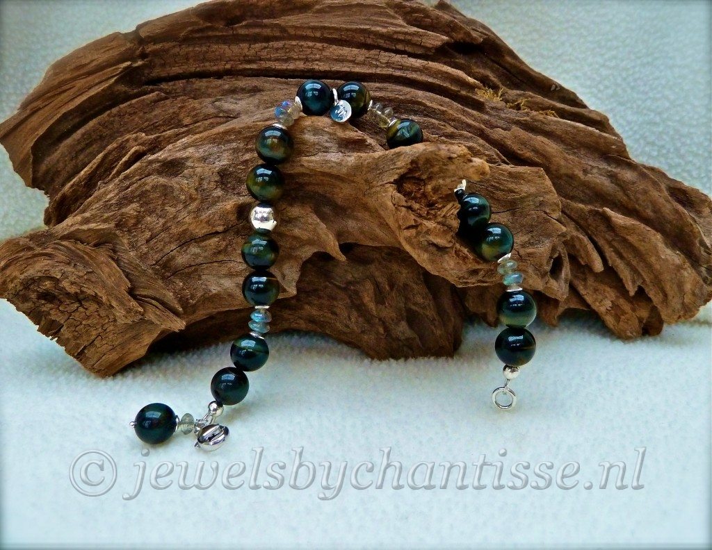 Zilveren Armband met Valkenoog 2 Zilveren Armband met Valkenoog